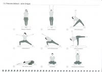 http://www.yoga-montpellier.com/files/gimgs/83_15-debout-serie-longue.jpg