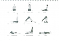 http://www.yoga-montpellier.com/files/gimgs/83_16-debout-serie-longue.jpg