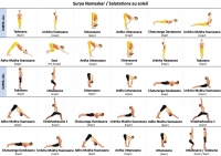http://www.yoga-montpellier.com/files/gimgs/83_salutations-au-soleil.jpg