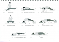 http://www.yoga-montpellier.com/files/gimgs/86_94-serie-pour-les-lunes-longue.jpg
