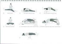http://www.yoga-montpellier.com/files/gimgs/86_96-serie-pour-les-lunes--crampes.jpg