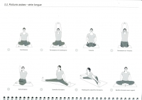 http://www.yoga-montpellier.com/files/gimgs/89_23-assises-serie-longue.jpg