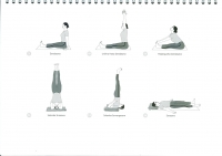 http://www.yoga-montpellier.com/files/gimgs/89_24-assises-serie-longue.jpg