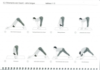 http://www.yoga-montpellier.com/files/gimgs/89_33-etirement-vers-lavant-serie-longue.jpg