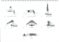 http://www.yoga-montpellier.com/files/gimgs/89_36-etirement-vers-lavant-serie-longue.jpg