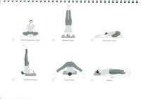 http://www.yoga-montpellier.com/files/gimgs/89_62-postures-abdominales.jpg