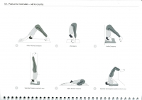 http://www.yoga-montpellier.com/files/gimgs/91_51-inversees-serie-courte.jpg