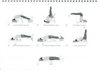 http://www.yoga-montpellier.com/files/gimgs/91_82-postures-de-recuperation.jpg