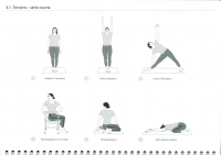 http://www.yoga-montpellier.com/files/gimgs/92_41-torsions-serie-courte.jpg