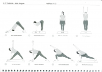 http://www.yoga-montpellier.com/files/gimgs/92_43-torsions-serie-longue.jpg