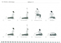 http://www.yoga-montpellier.com/files/gimgs/92_45-torsions-serie-longue.jpg