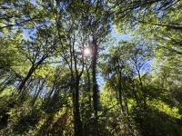 https://www.yoga-montpellier.com/files/gimgs/107_20260728153201.jpg