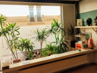 https://www.yoga-montpellier.com/files/gimgs/51_img2026090314262923.jpg