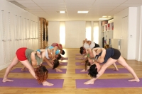 https://www.yoga-montpellier.com/files/gimgs/52_img0092.jpg