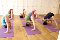 https://www.yoga-montpellier.com/files/gimgs/52_img0103.jpg