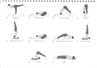 https://www.yoga-montpellier.com/files/gimgs/83_110-debout-serie-longue.jpg