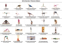 https://www.yoga-montpellier.com/files/gimgs/83_serie-avancee-postures-debout.jpg