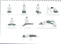 https://www.yoga-montpellier.com/files/gimgs/86_98-serie-pour-les-lunes--problemes-de-dos.jpg
