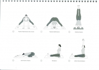 https://www.yoga-montpellier.com/files/gimgs/89_34-etirement-vers-lavant-serie-longue.jpg