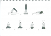 https://www.yoga-montpellier.com/files/gimgs/92_44-torsions-serie-longue.jpg