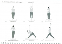 https://www.yoga-montpellier.com/files/gimgs/92_73-etirements-vers-larriere-serie-longue.jpg