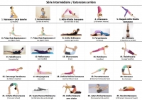 https://www.yoga-montpellier.com/files/gimgs/92_serie-intermediaire-extensions-arriere.jpg