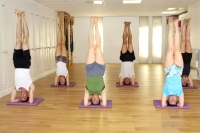 https://www.yoga-montpellier.com/files/gimgs/99_img0110.jpg